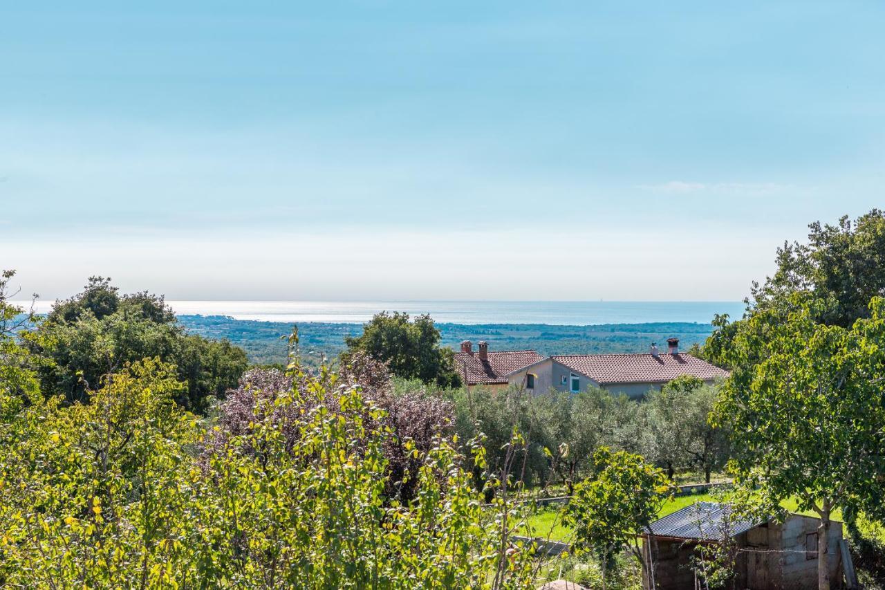 Villa Alma Kaštelir Kültér fotó